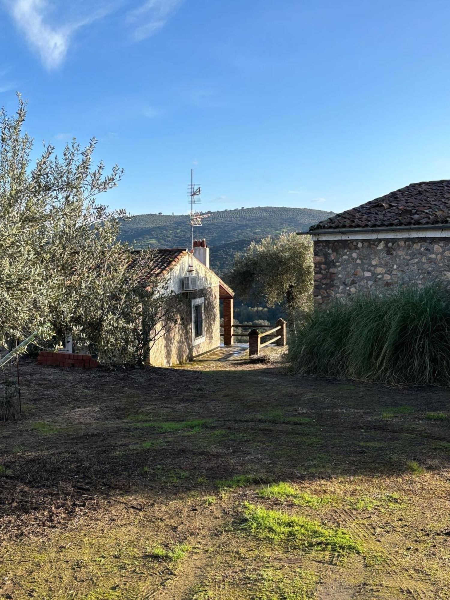 Casas Rurales Los Llanos Fuentes de León Extérieur photo