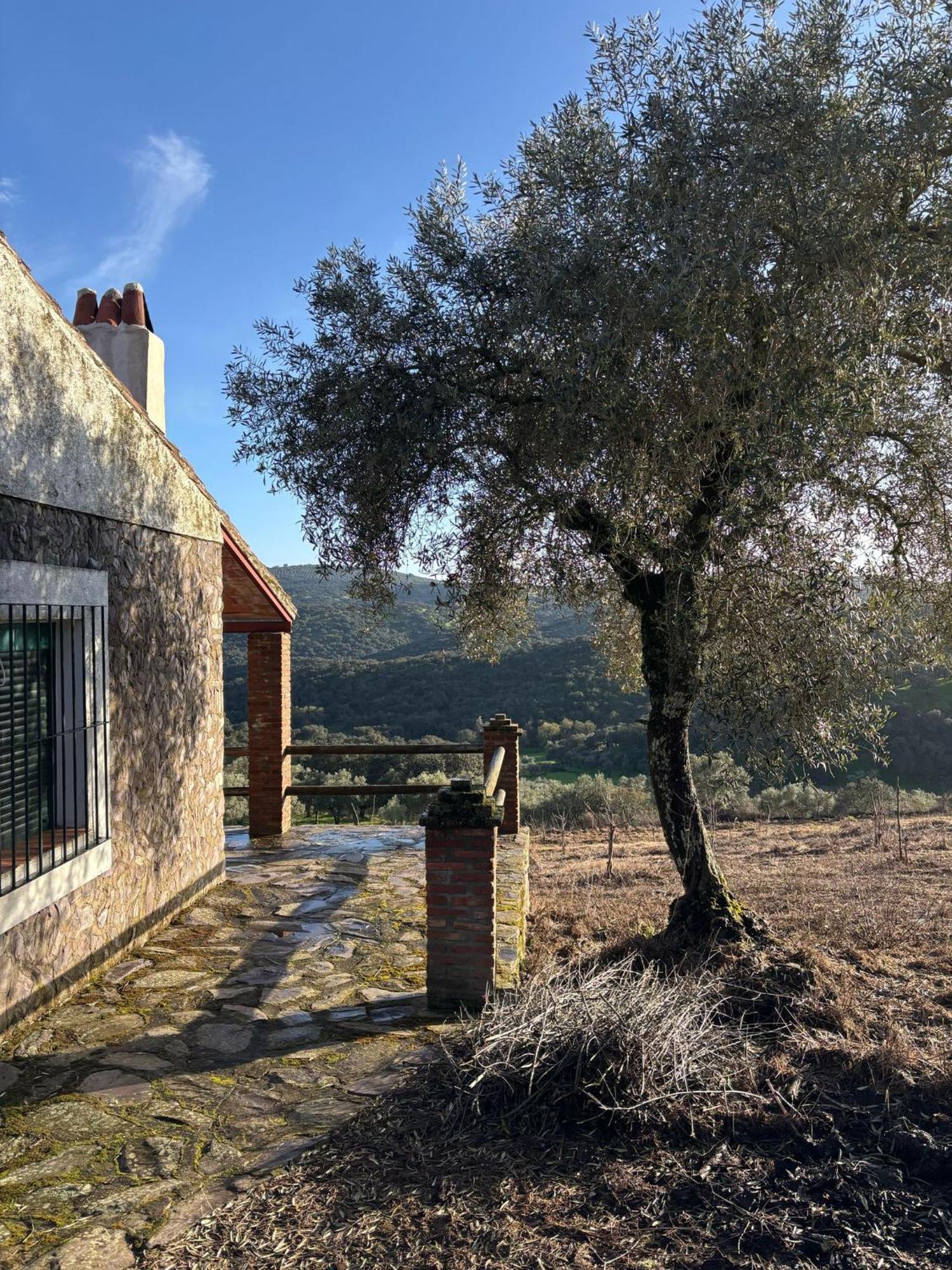Casas Rurales Los Llanos Fuentes de León Extérieur photo