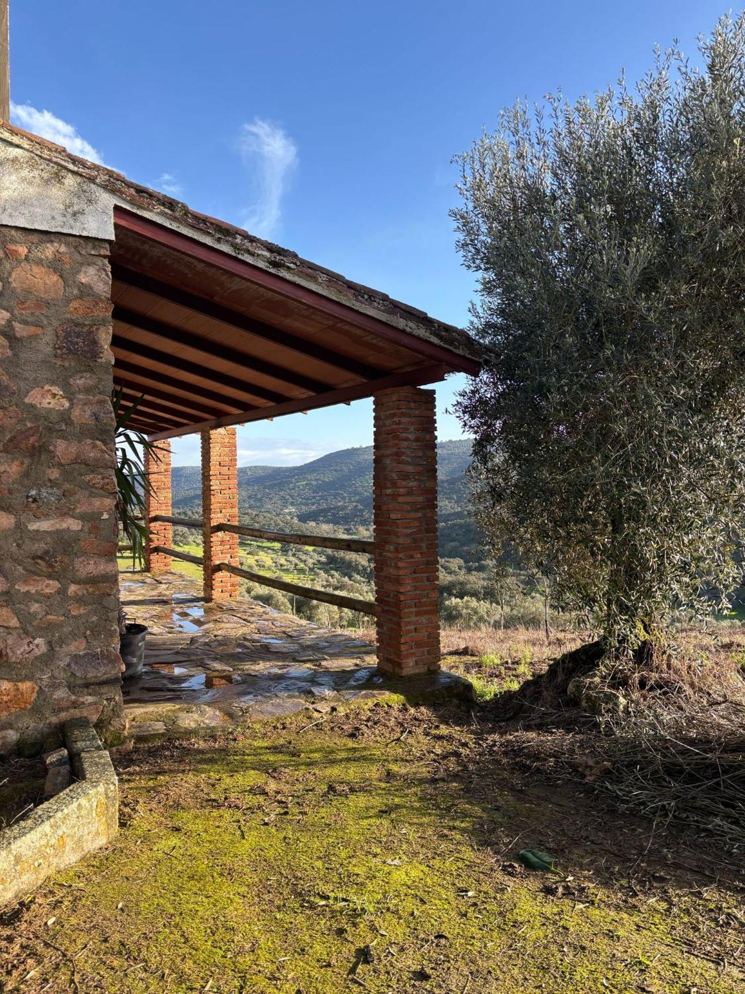 Casas Rurales Los Llanos Fuentes de León Extérieur photo