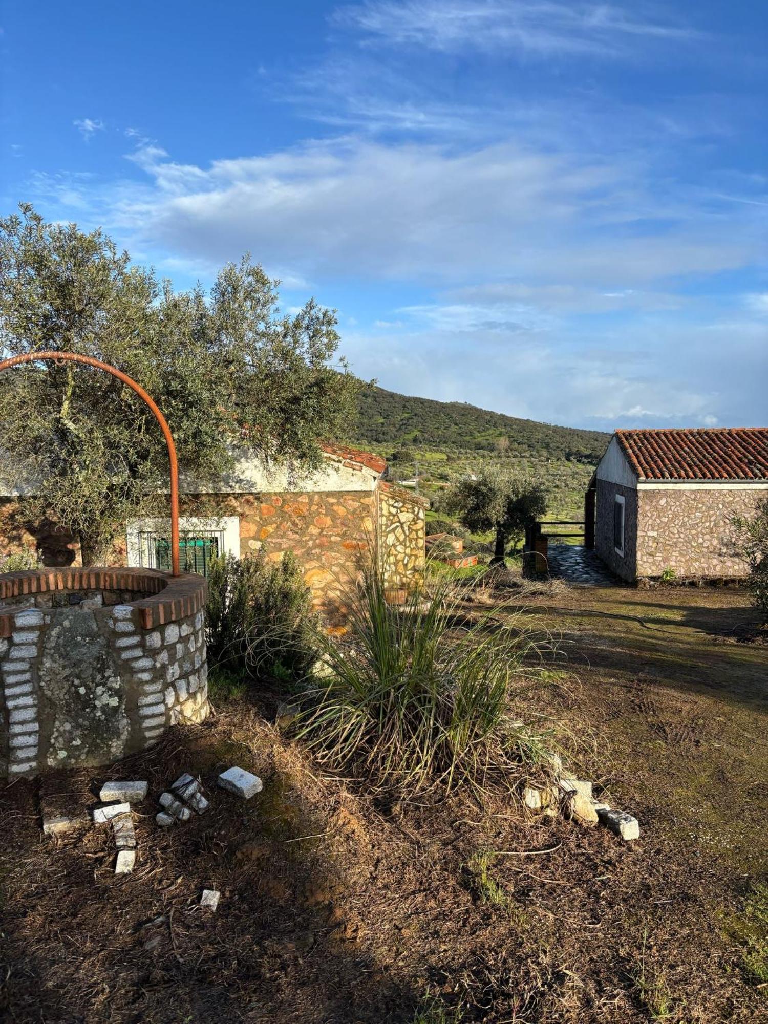 Casas Rurales Los Llanos Fuentes de León Extérieur photo