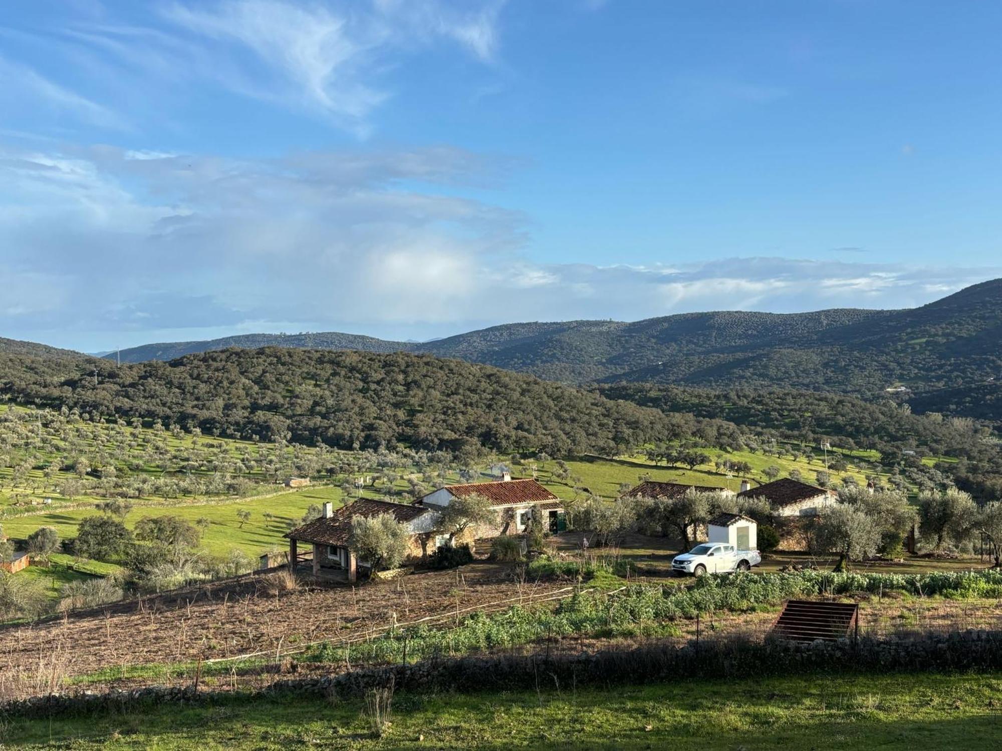 Casas Rurales Los Llanos Fuentes de León Extérieur photo